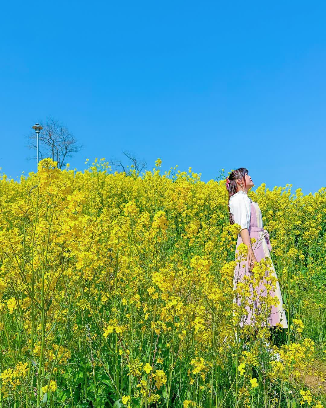 五六島日出公園 | 去趣 chicTrip