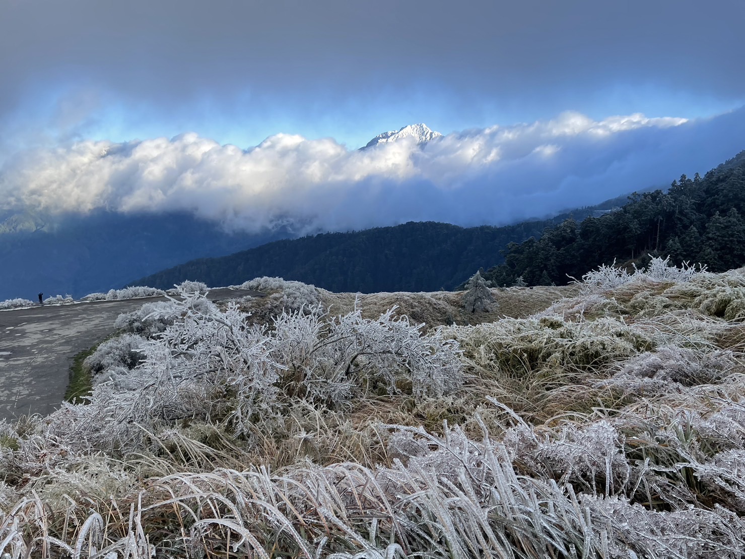 合歡山 | 去趣 chicTrip