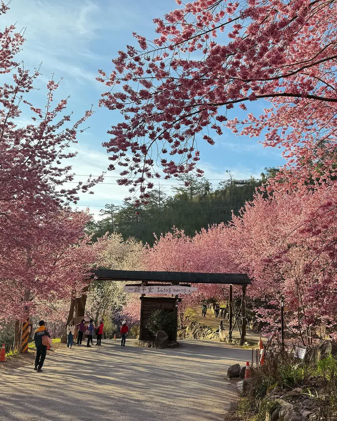 司馬庫斯 | 去趣 chicTrip