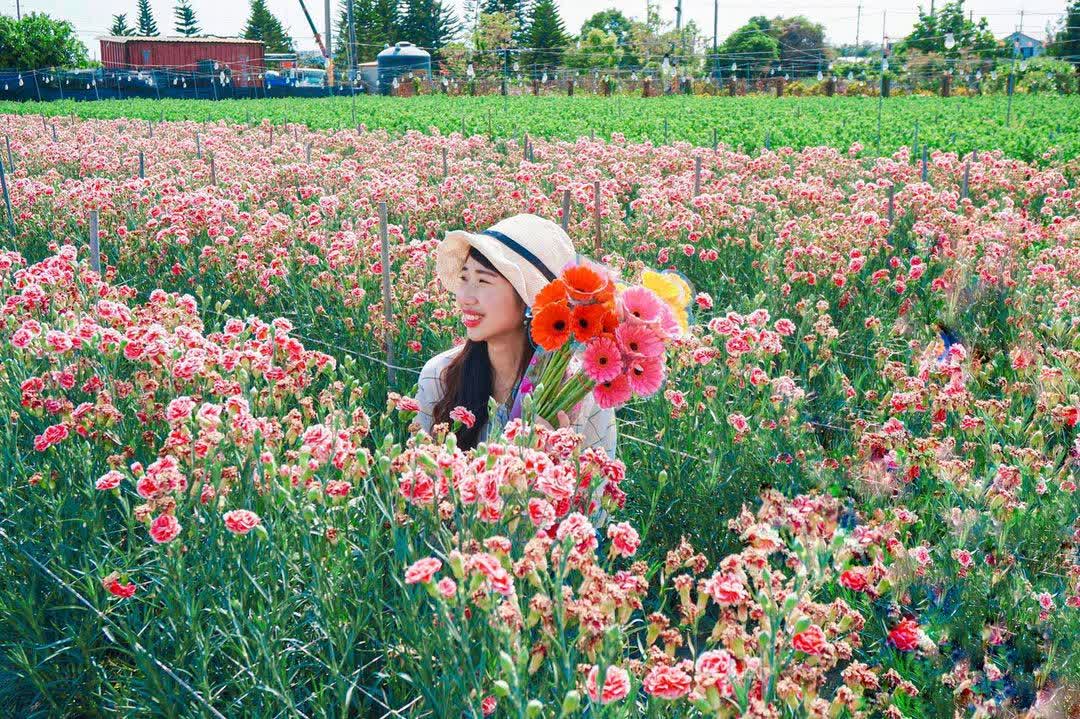 田尾公路花園 | 去趣 chicTrip