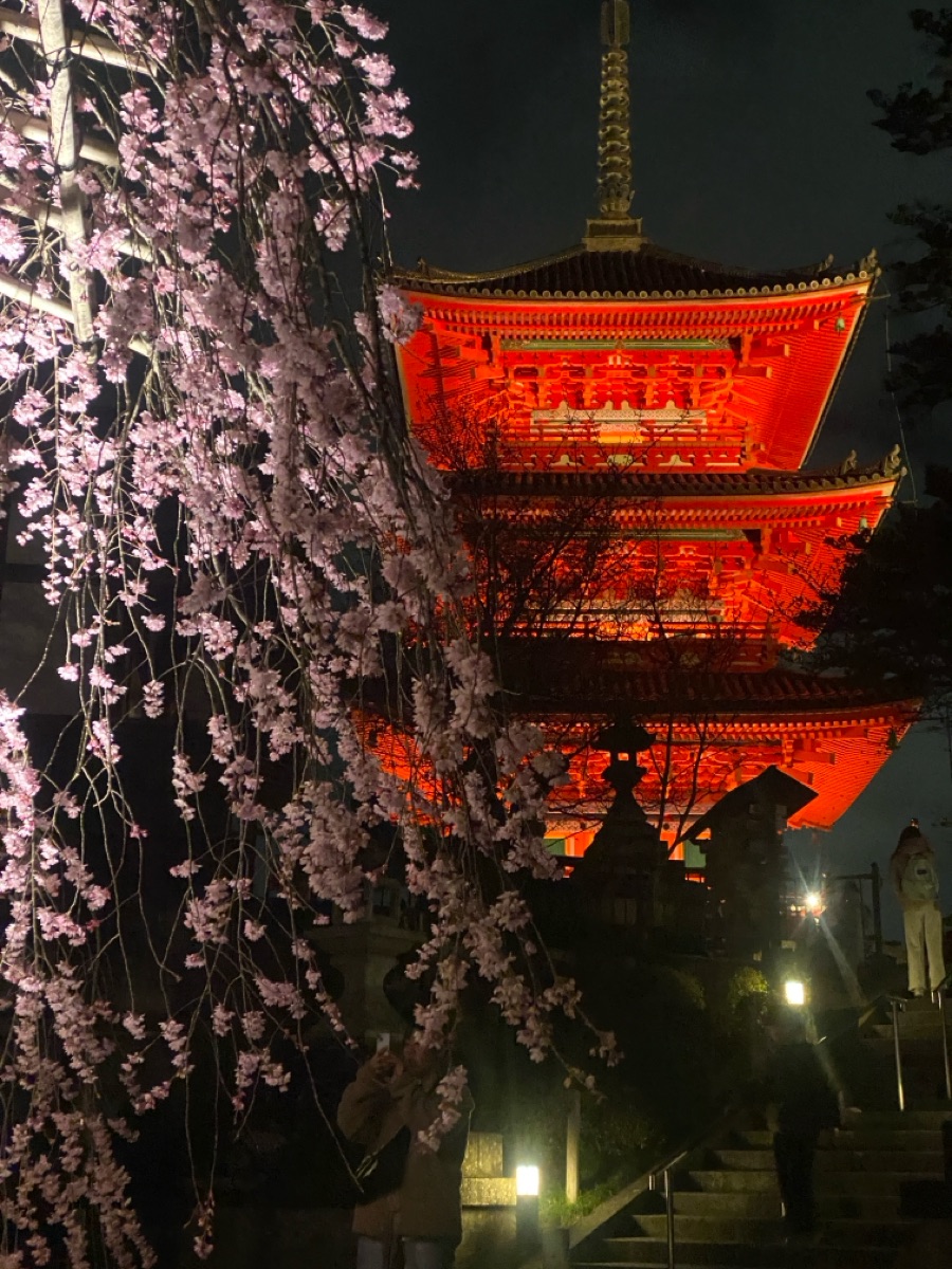 清水寺 | 去趣 chicTrip