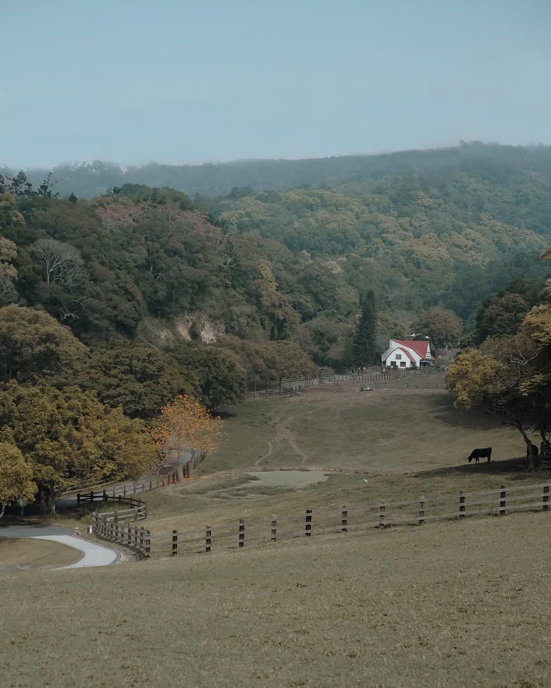 飛牛牧場 | 去趣 chicTrip