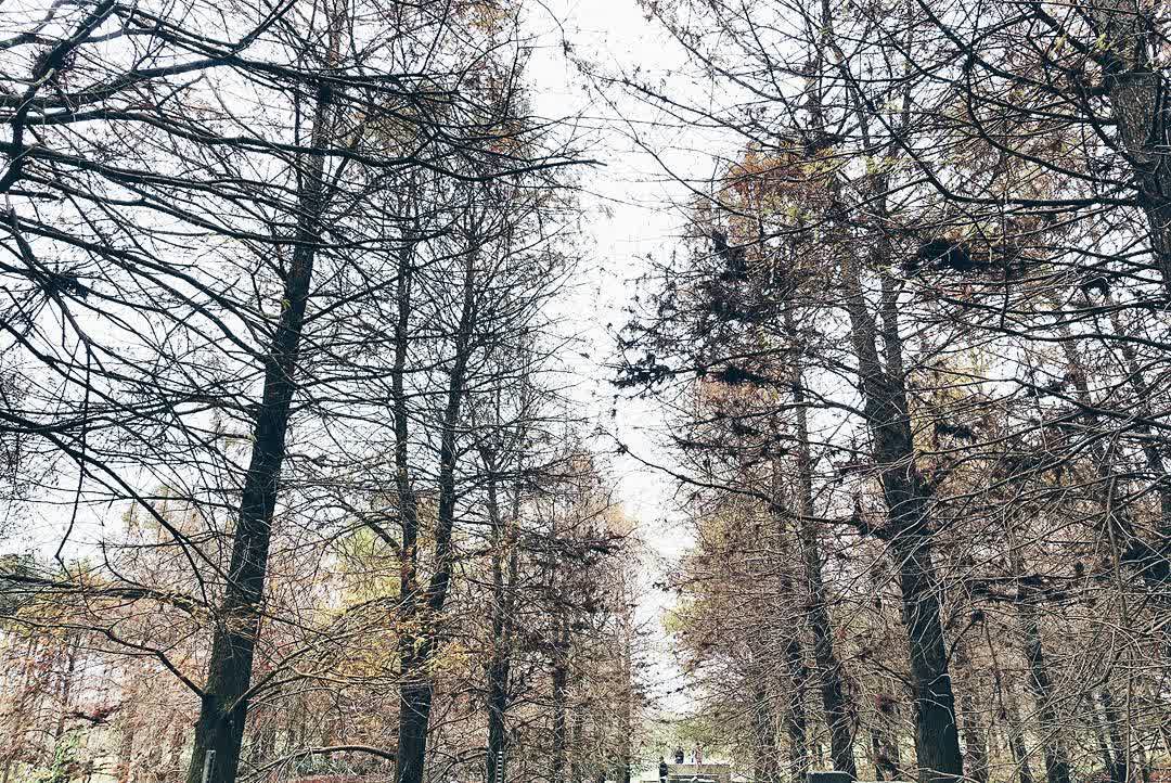 花蓮雲山水夢幻湖 | 去趣 chicTrip