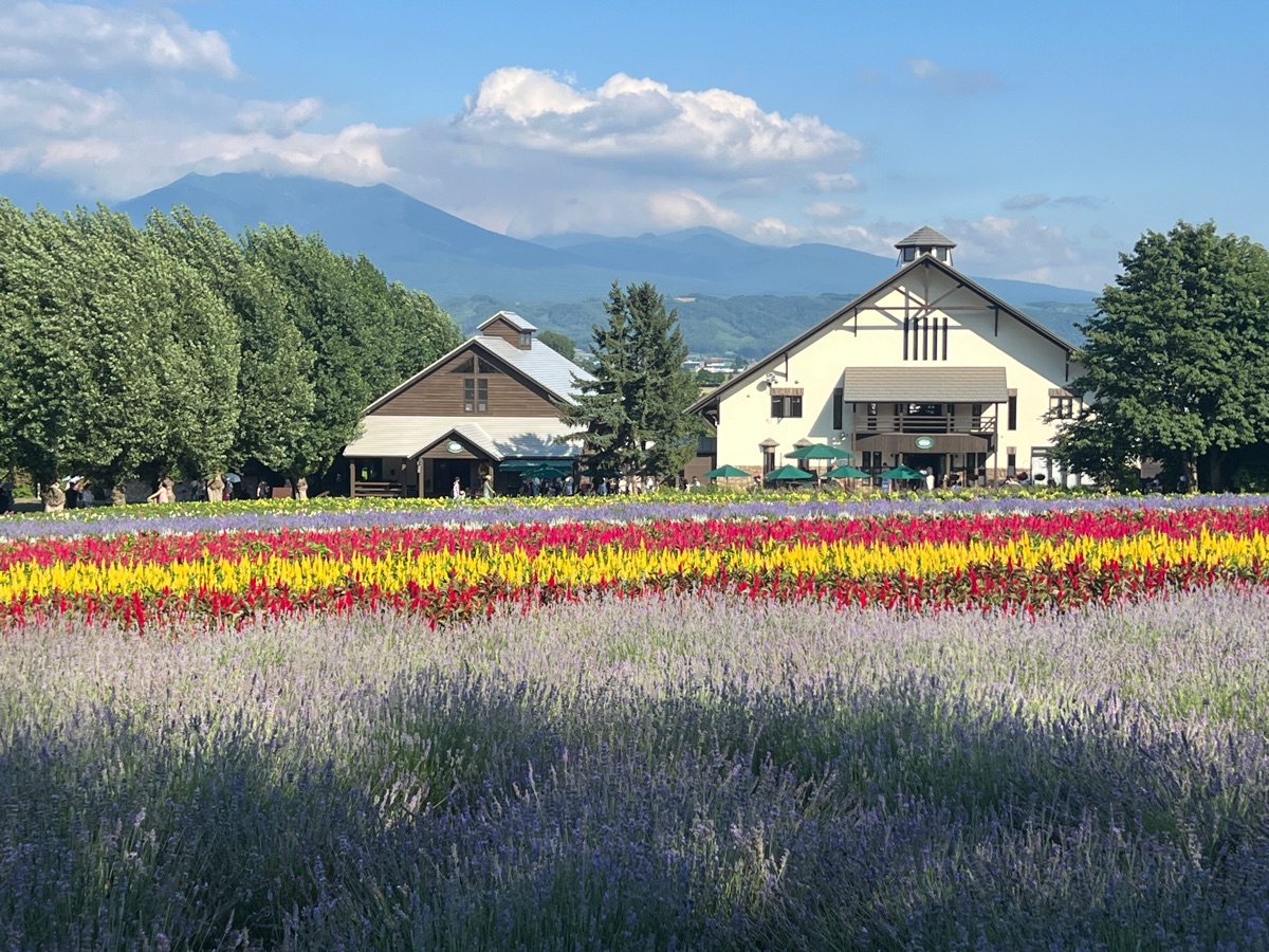 富田農場 | 去趣 chicTrip