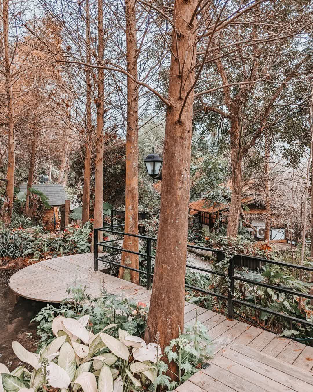 卓也小屋渡假園區 | 去趣 chicTrip