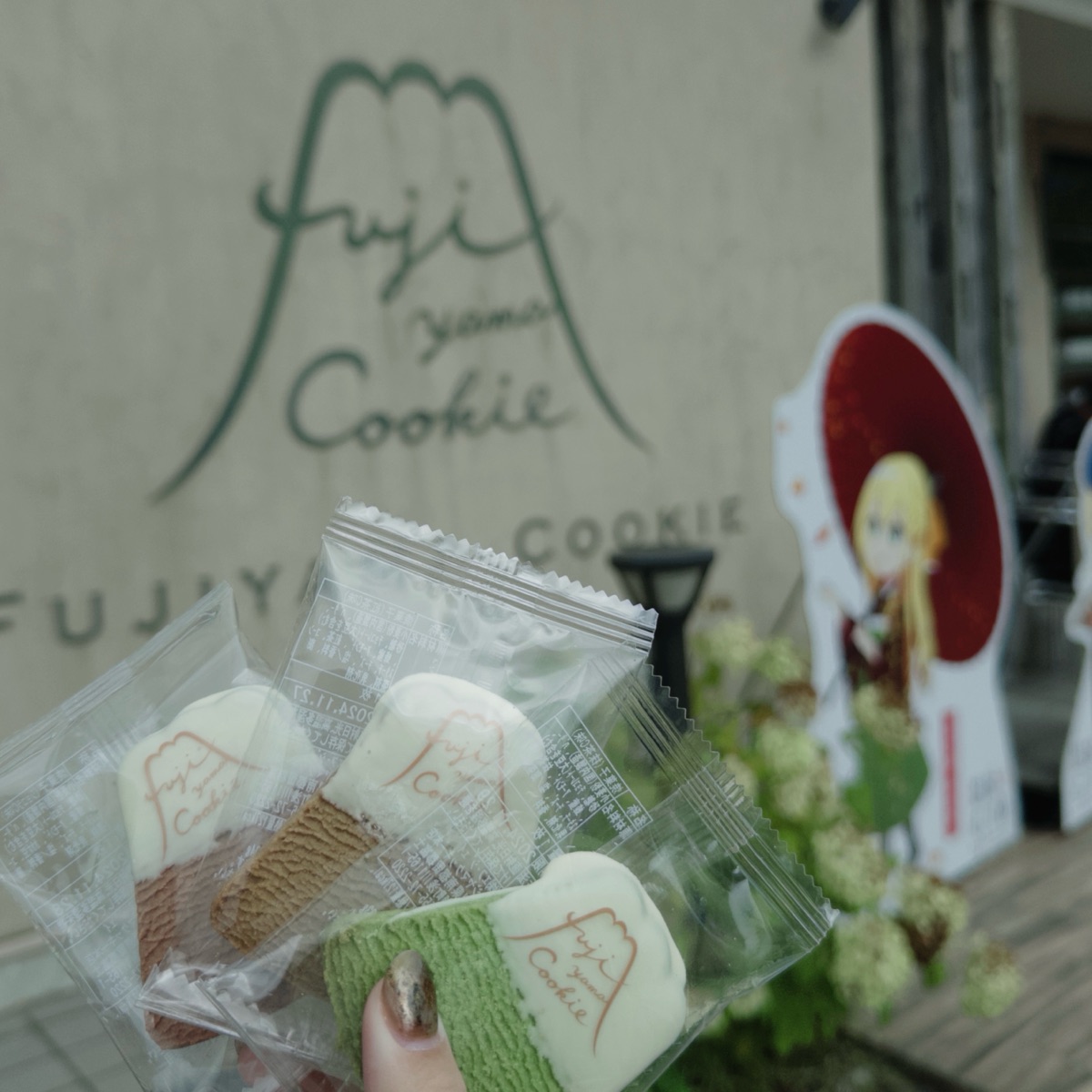 FUJIYAMA COOKIE | 去趣 chicTrip