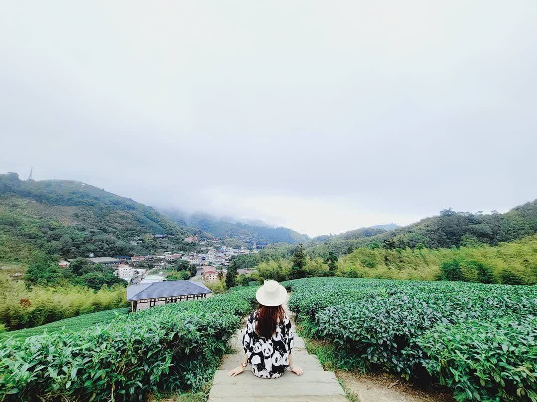 嘉義梅山太平雲梯 | 去趣 chicTrip