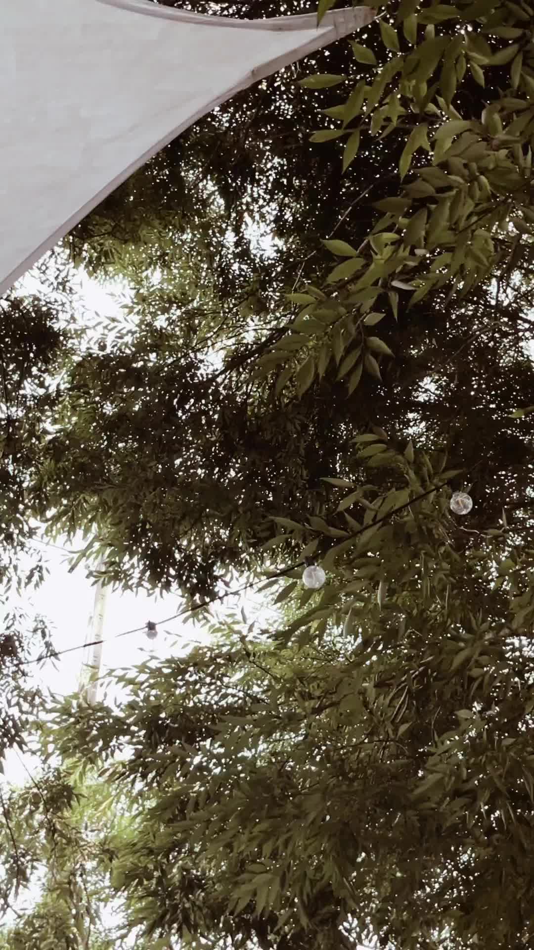 光宅（不定休，恕無法接待4人以上團體，營業時間請至IG及FB粉絲頁查詢）