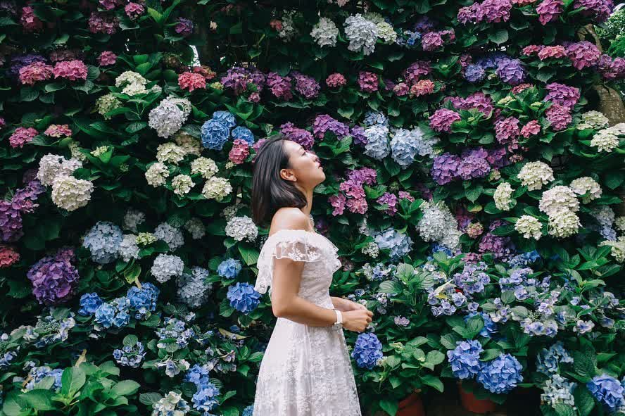 花露農場 Flower Home | 去趣 chicTrip