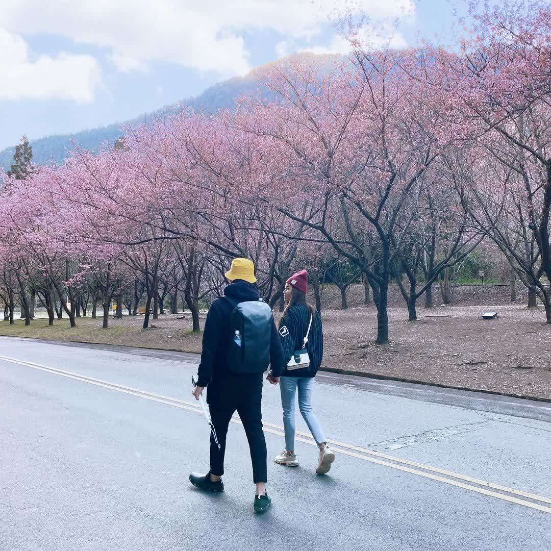 武陵農場 | 去趣 chicTrip