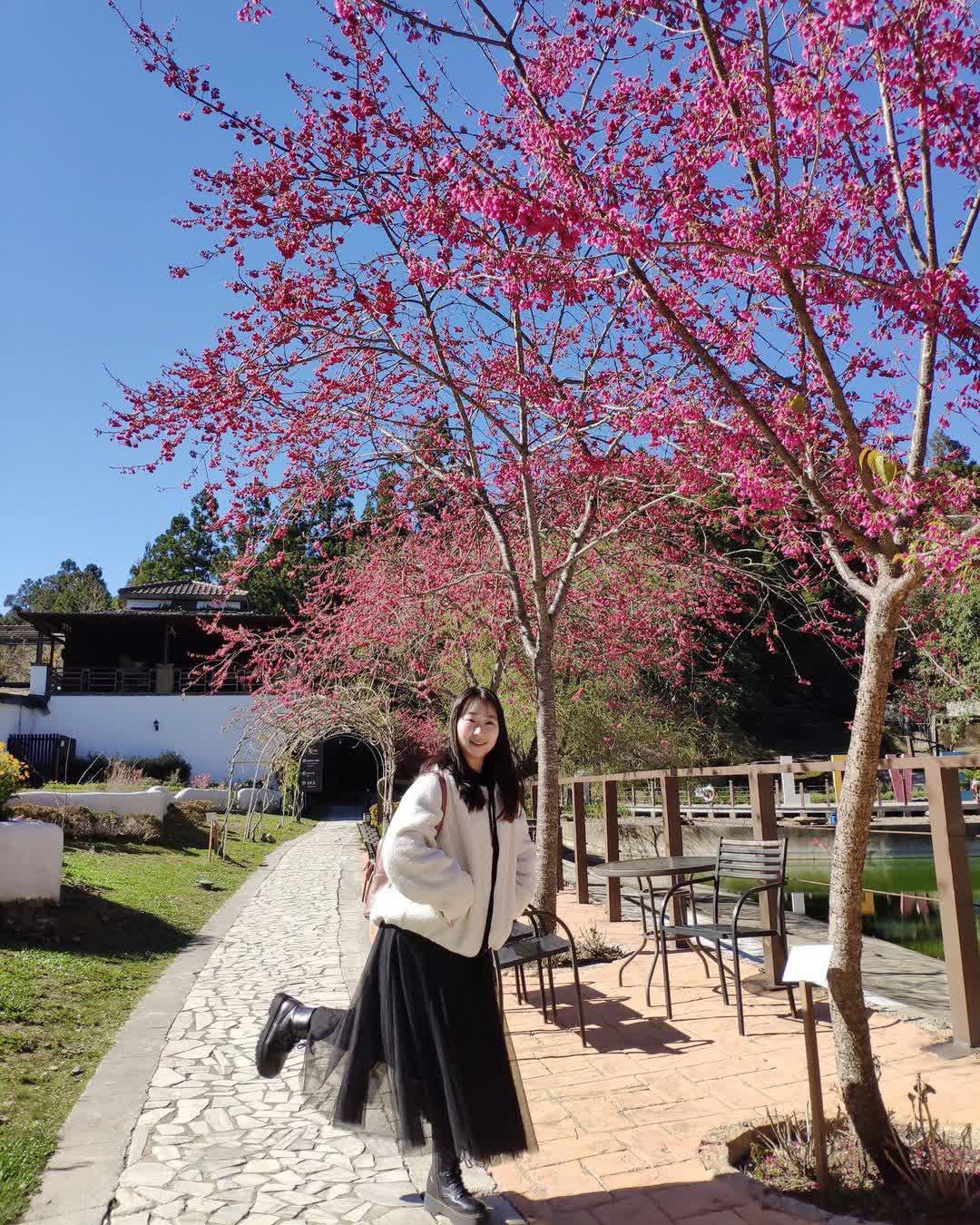 清境農場小瑞士花園 | 去趣 chicTrip