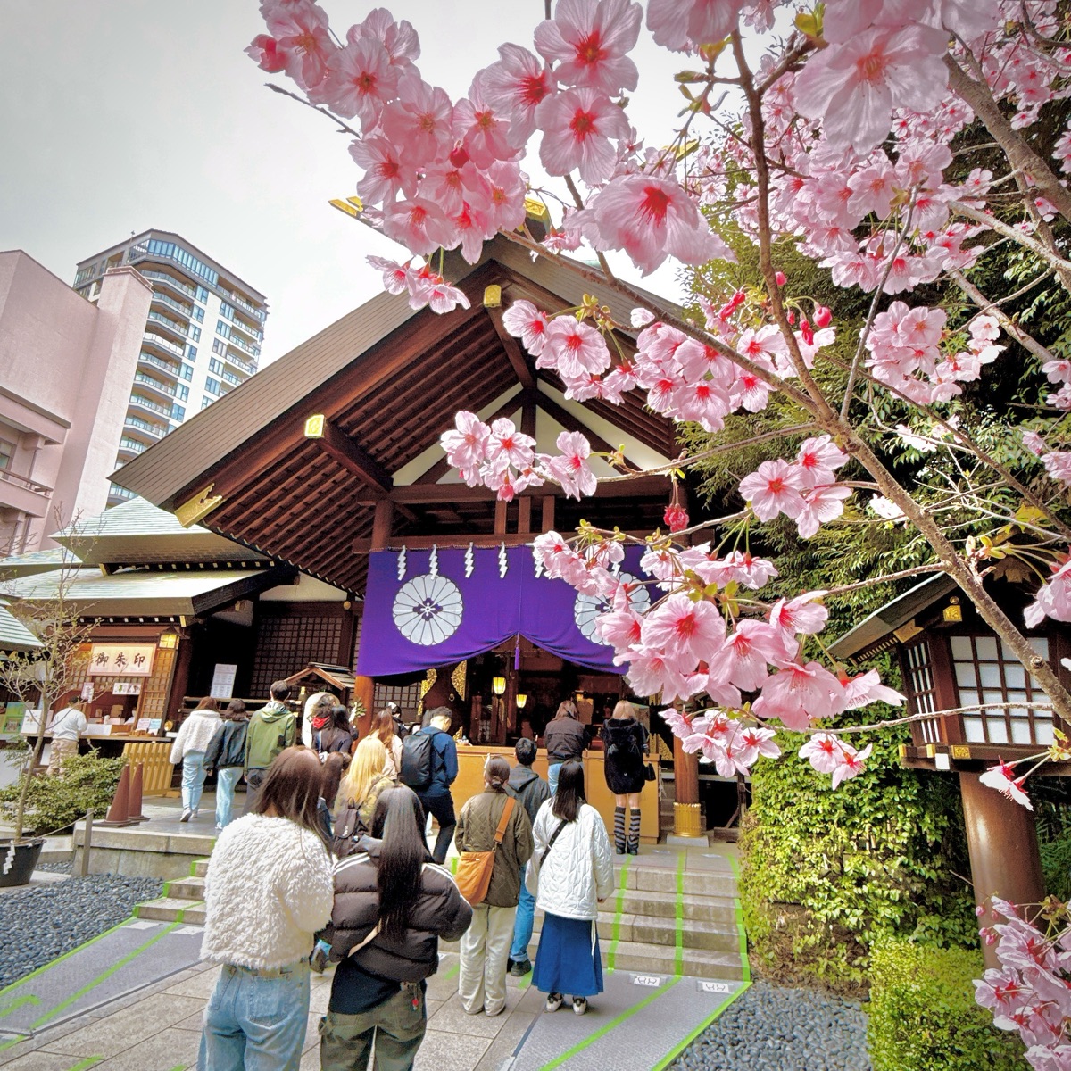 東京大神宮 | 去趣 chicTrip