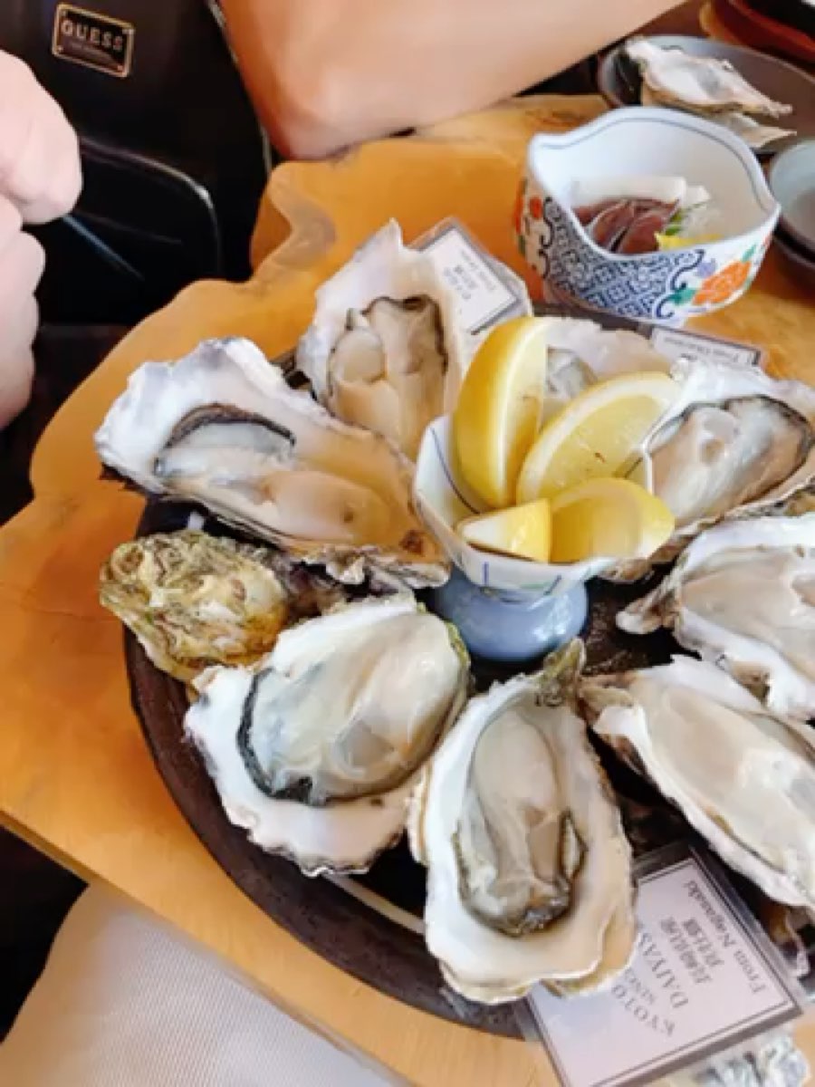 Daiyasu | 去趣 chicTrip