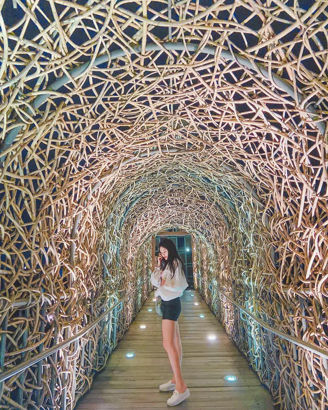 森林之歌 | 去趣 chicTrip