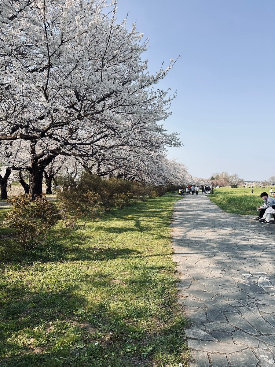 北上展勝地 | 去趣 chicTrip