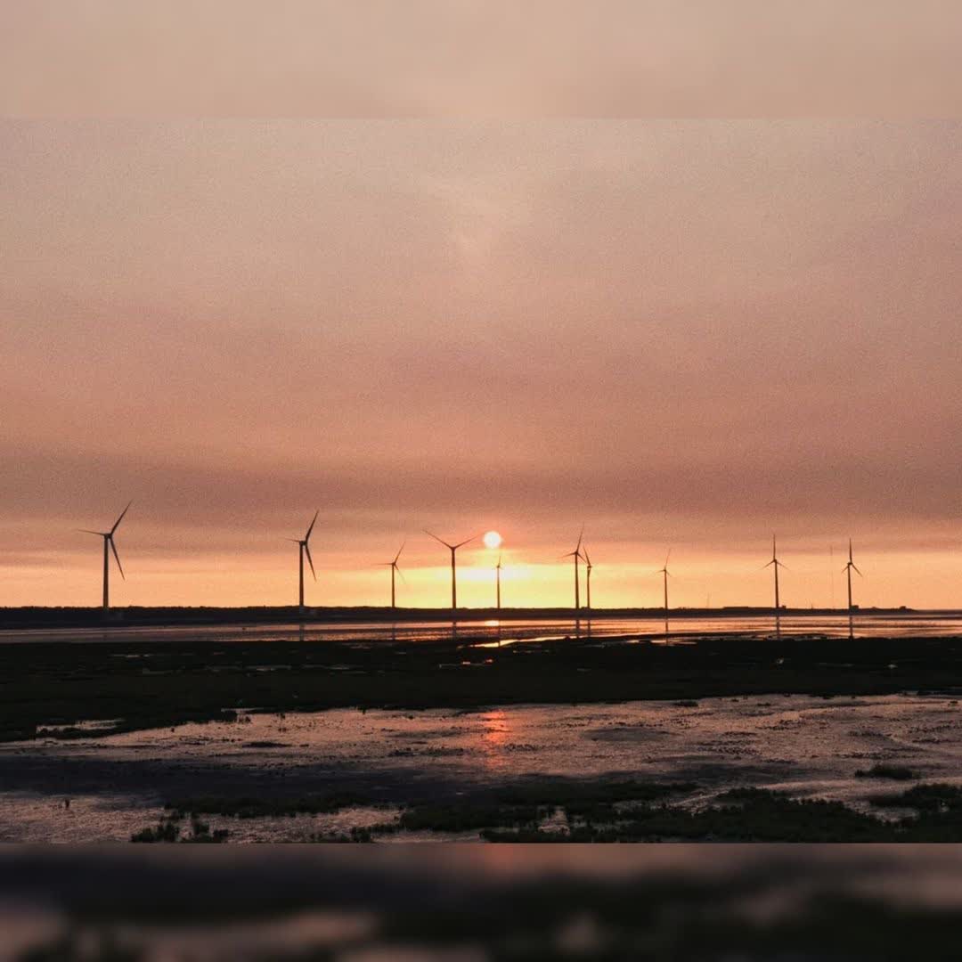 高美野生動物保護區 | 去趣 chicTrip