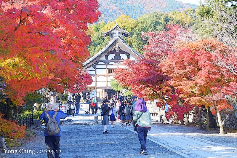 天龍寺 | 去趣 chicTrip