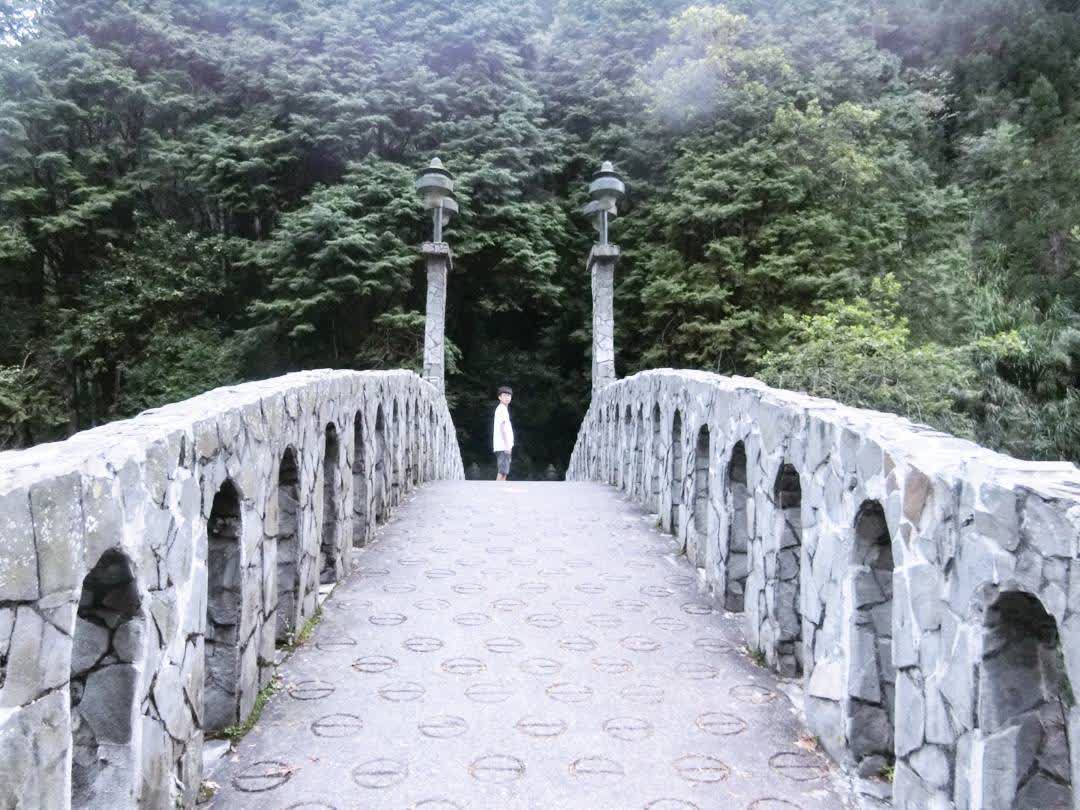 杉林溪森林生態渡假園區 | 去趣 chicTrip