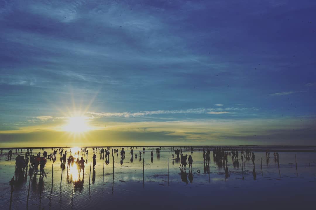 高美野生動物保護區 | 去趣 chicTrip