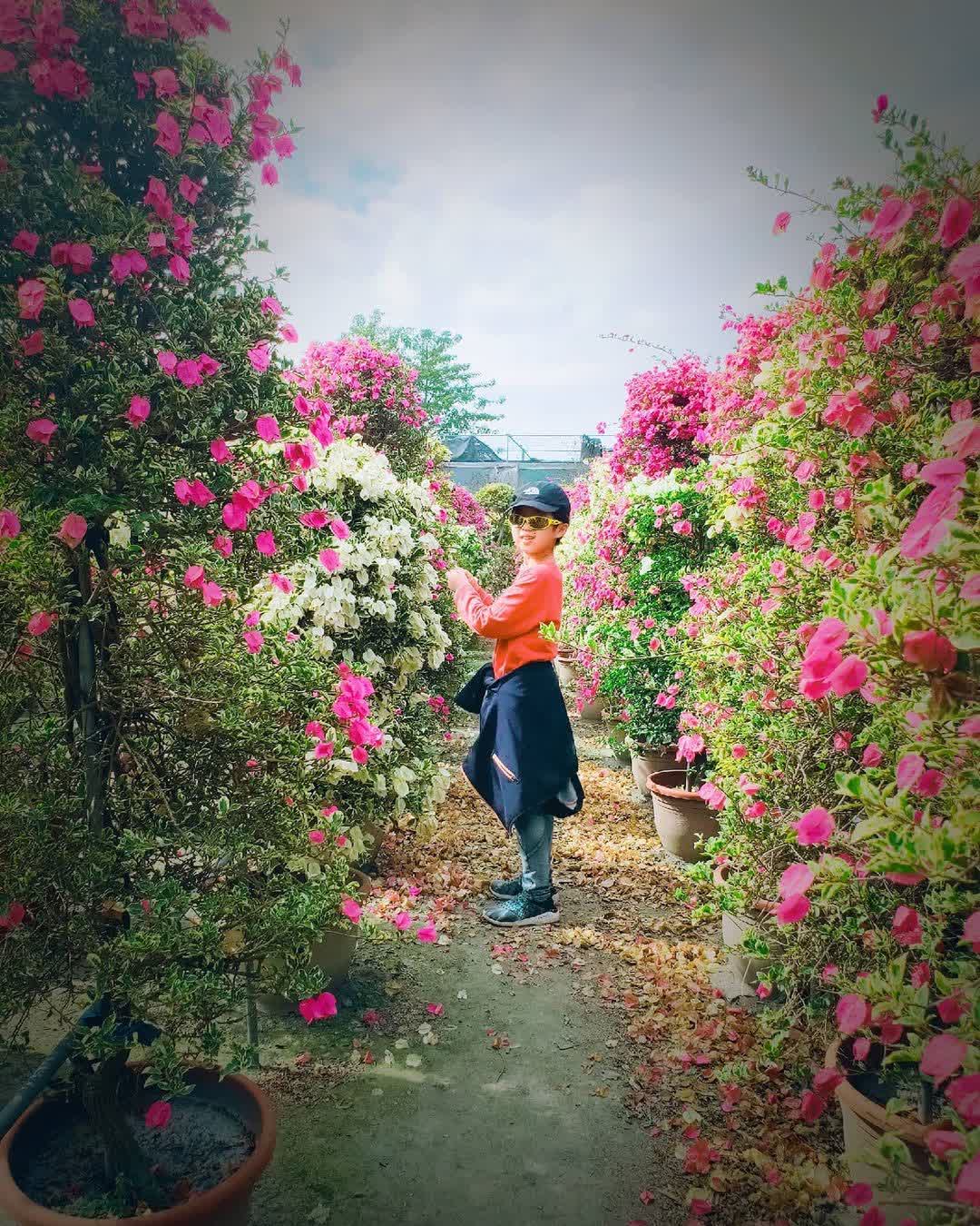 田尾公路花園 | 去趣 chicTrip