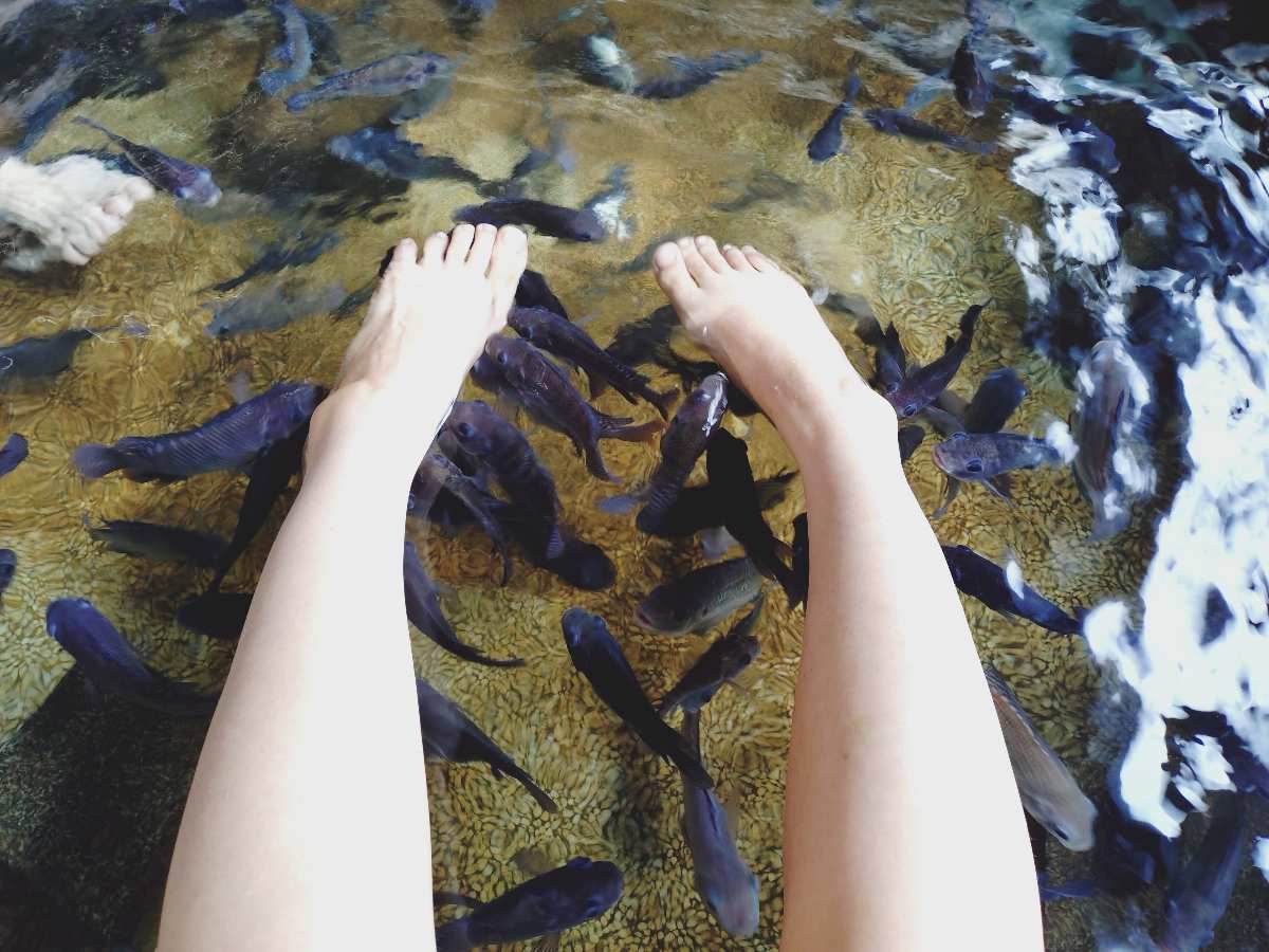 礁溪湯圍溝重口味溫泉魚 | 去趣 chicTrip