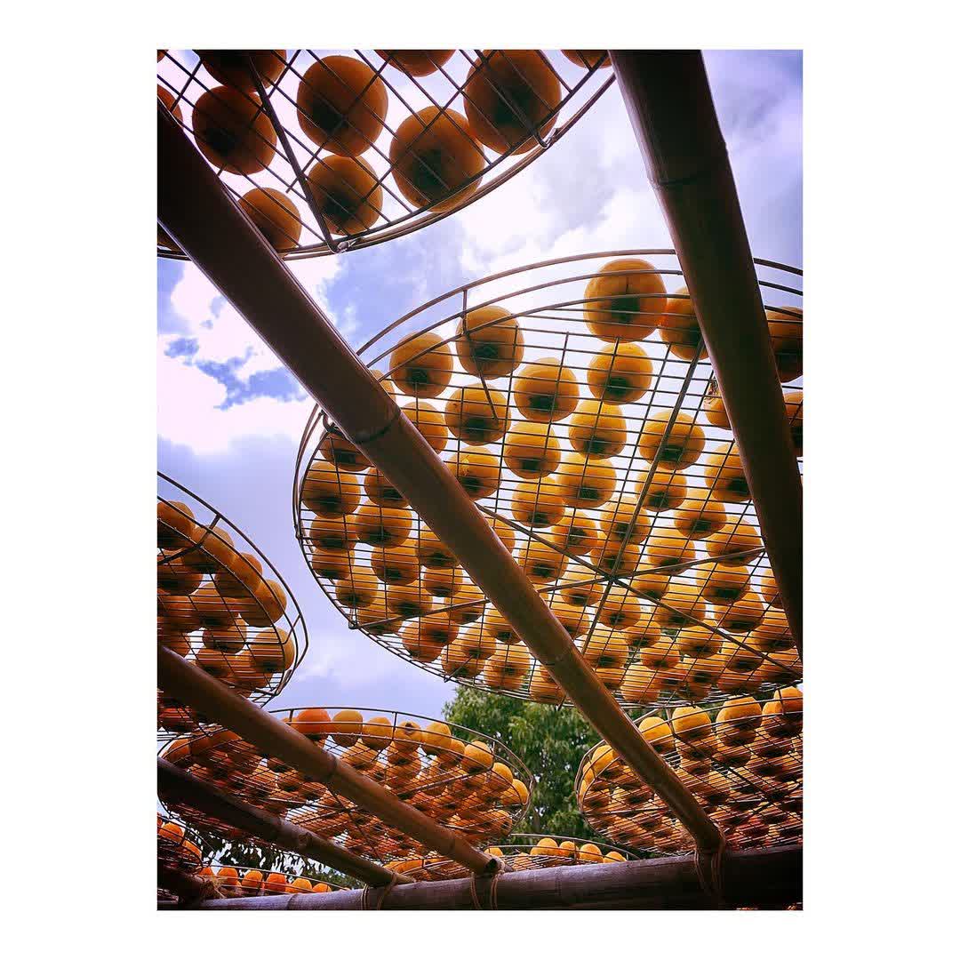 味衛佳柿餅教育農園 | 去趣 chicTrip