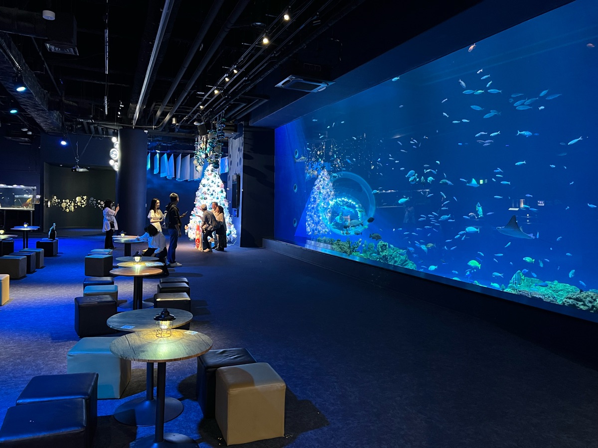 DMM Kariyushi水族館 | 去趣 chicTrip