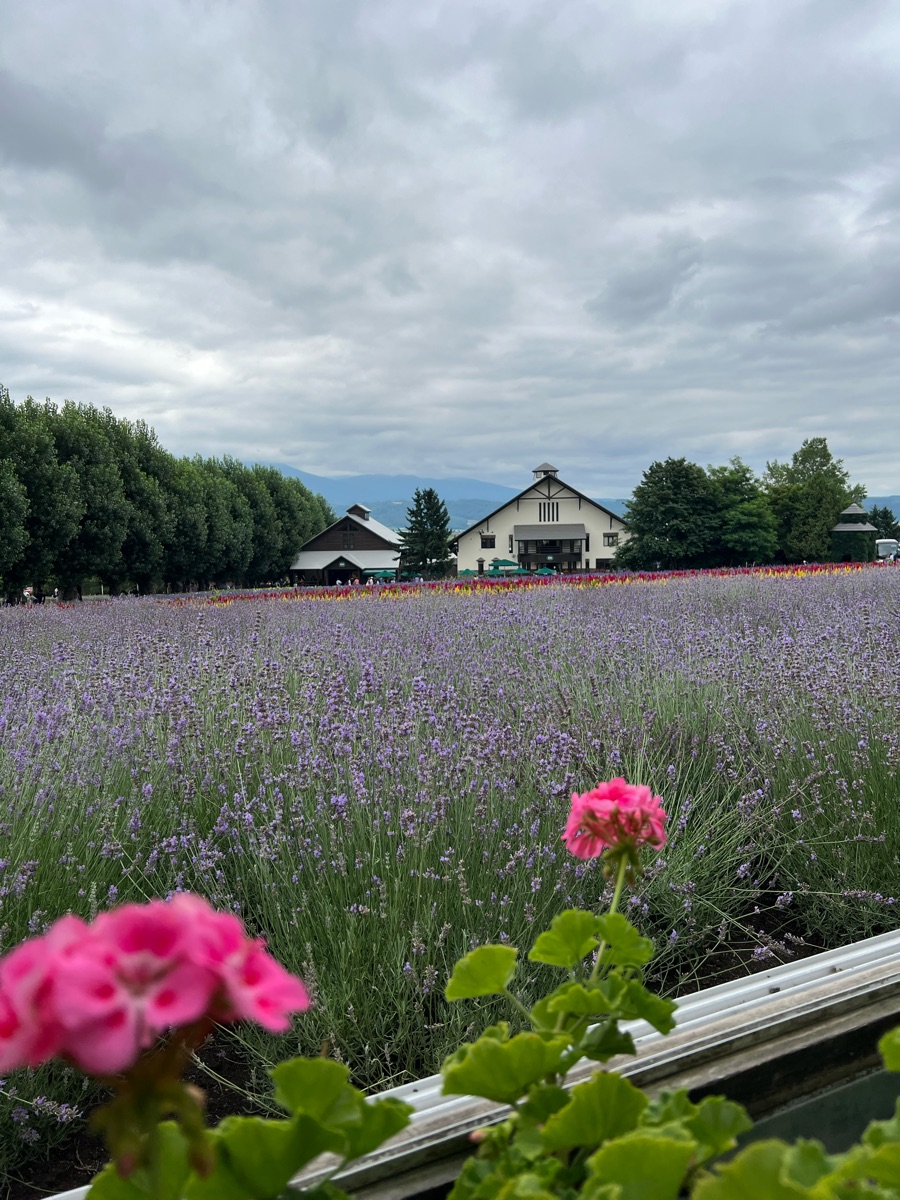 富田農場 | 去趣 chicTrip