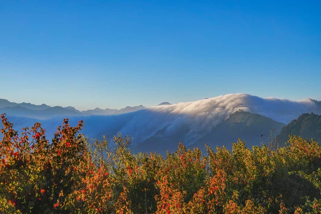 小笠原山觀景台 | 去趣 chicTrip