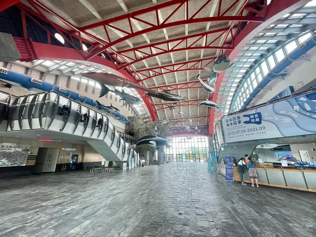 國立海洋生物博物館 | 去趣 chicTrip