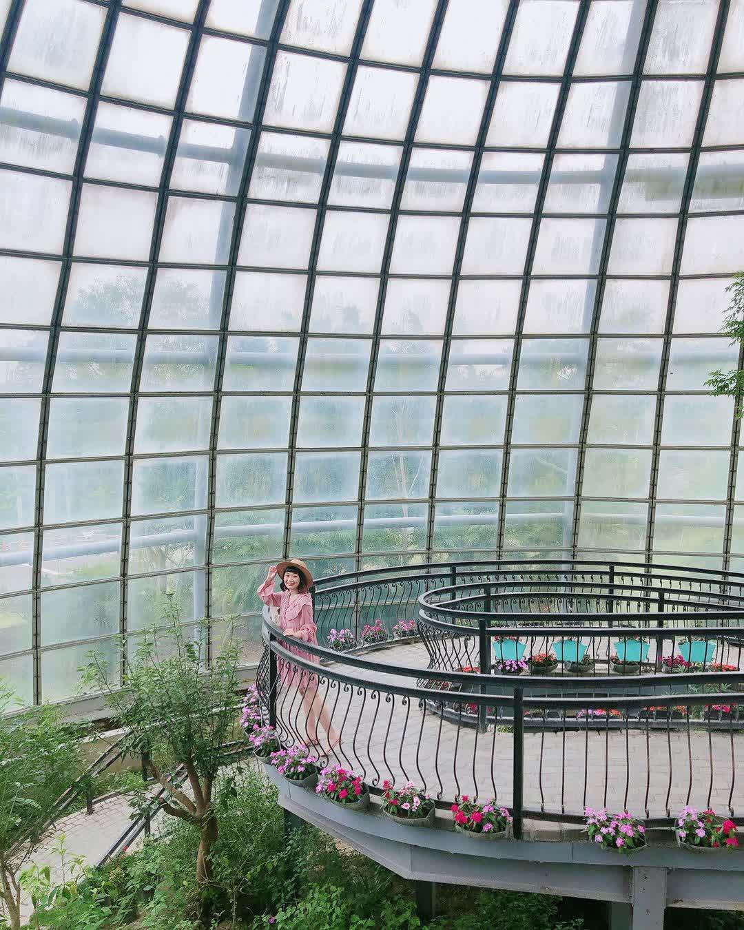 嘉大昆蟲館 | 去趣 chicTrip