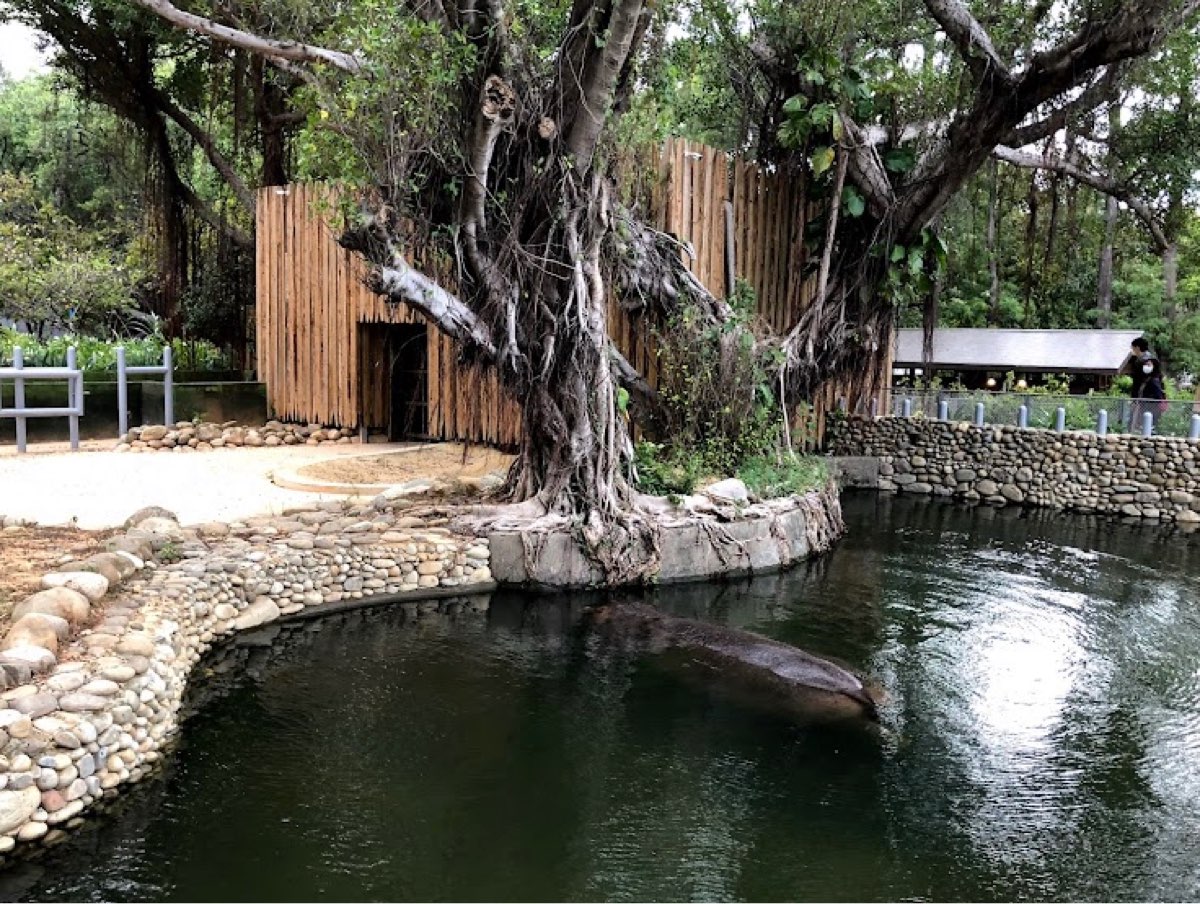 新竹市立動物園 | 去趣 chicTrip