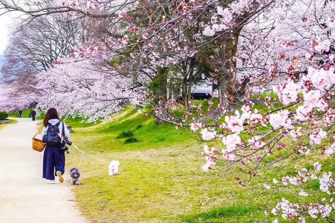 鴨川 | 去趣 chicTrip