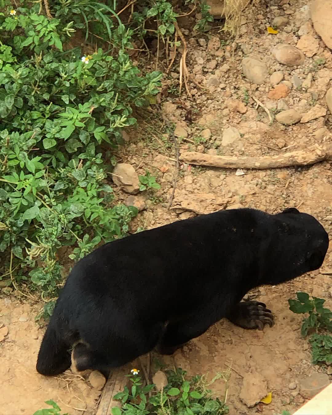 新竹市立動物園 | 去趣 chicTrip