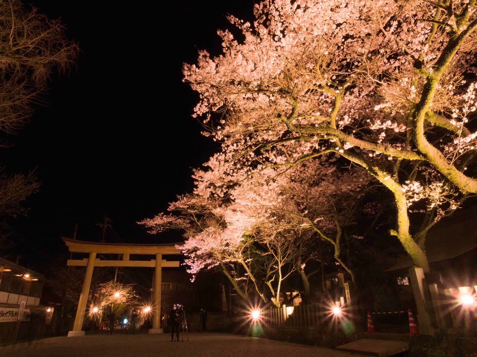 阿蘇神社 | 去趣 chicTrip