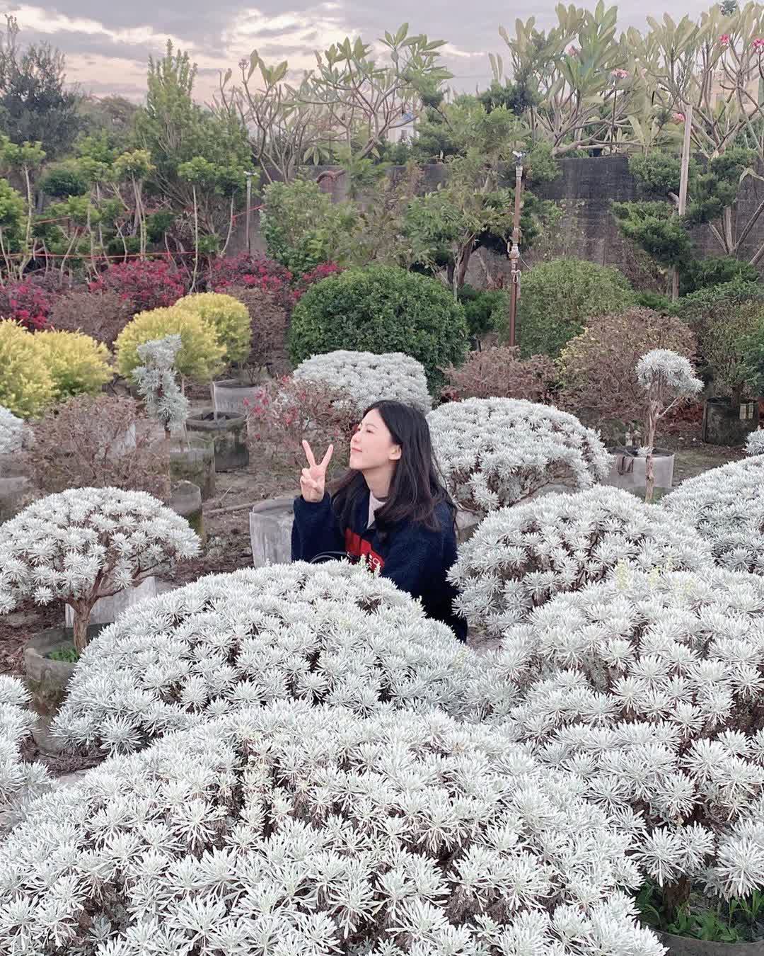 彰化田尾波波草 | 去趣 chicTrip