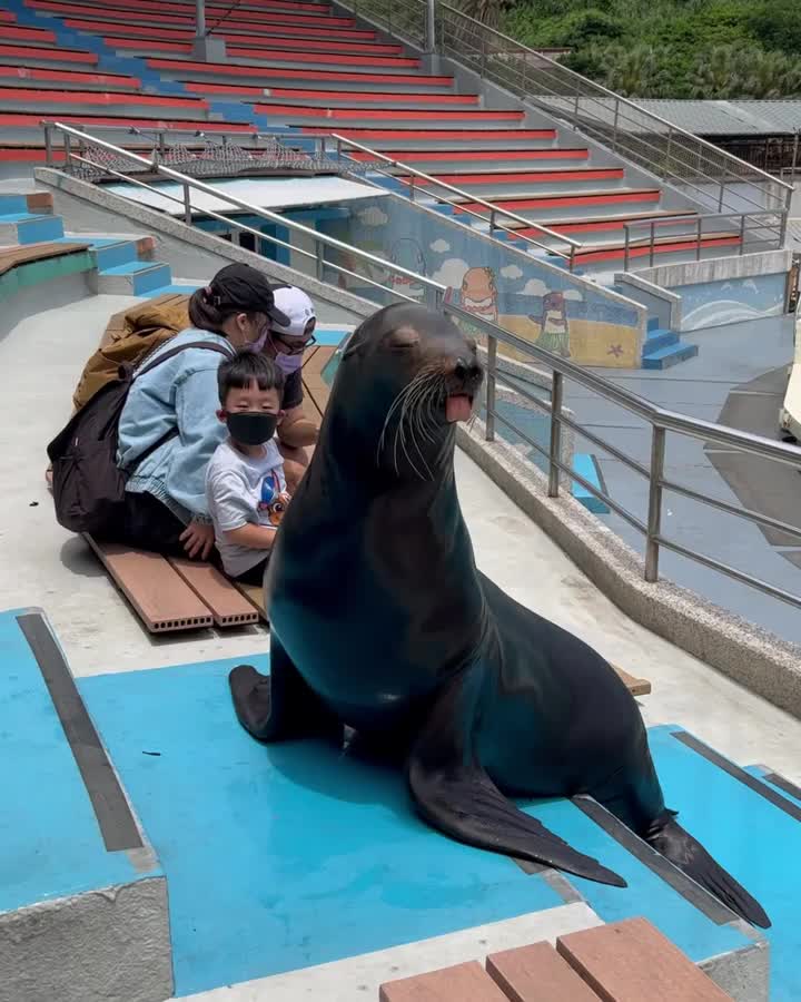 野柳海洋世界 | 去趣 chicTrip