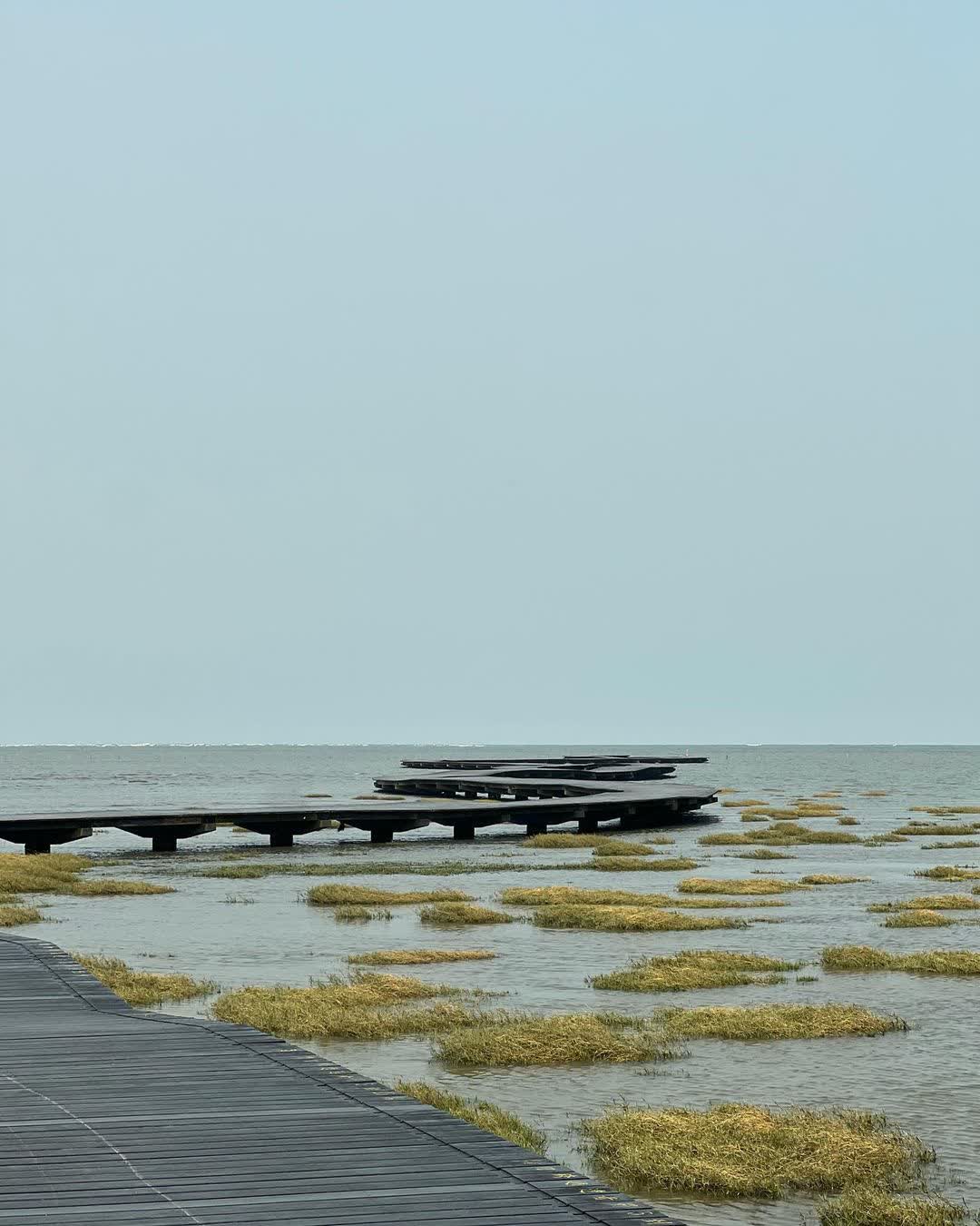 高美濕地 | 去趣 chicTrip