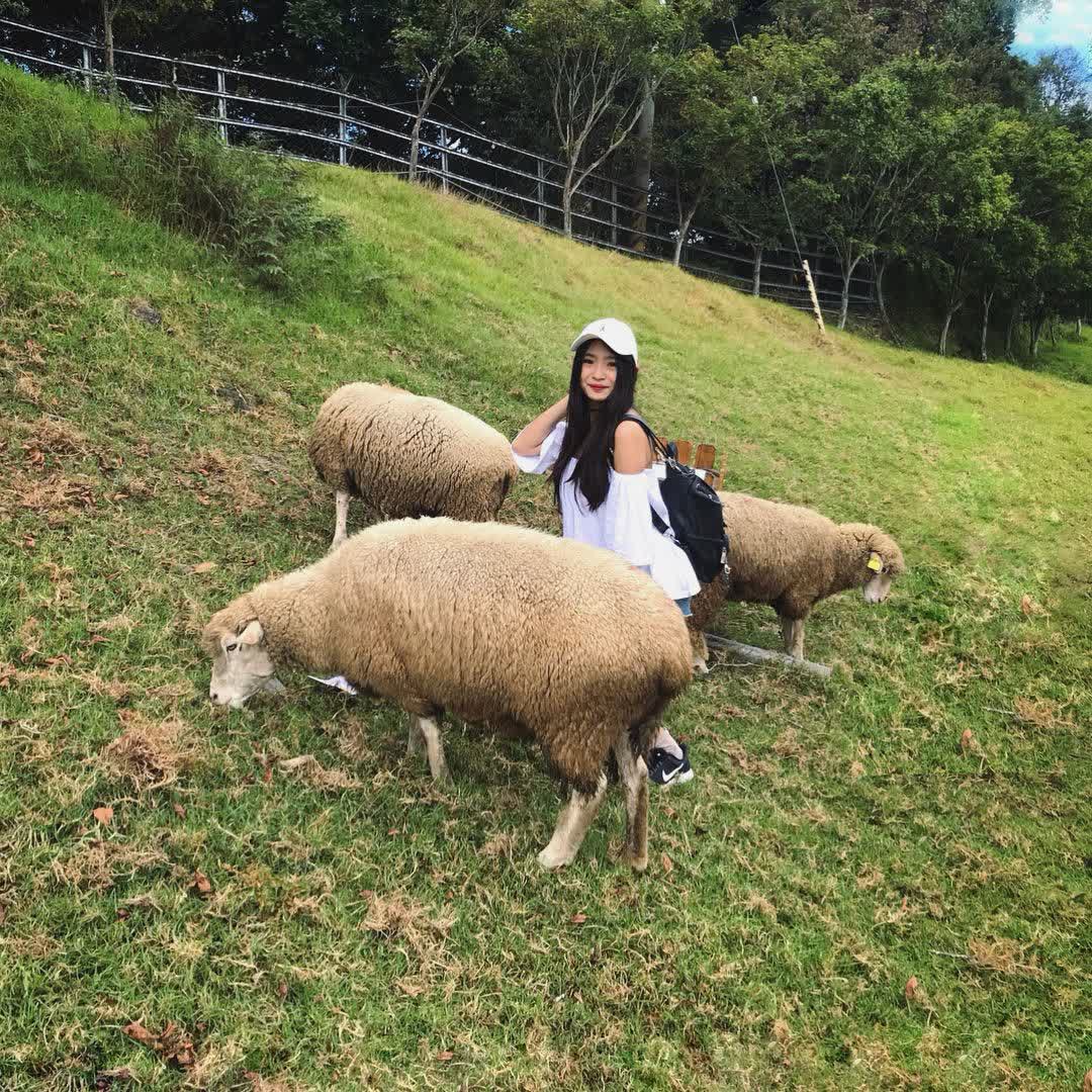 清境農場青青草原 | 去趣 chicTrip