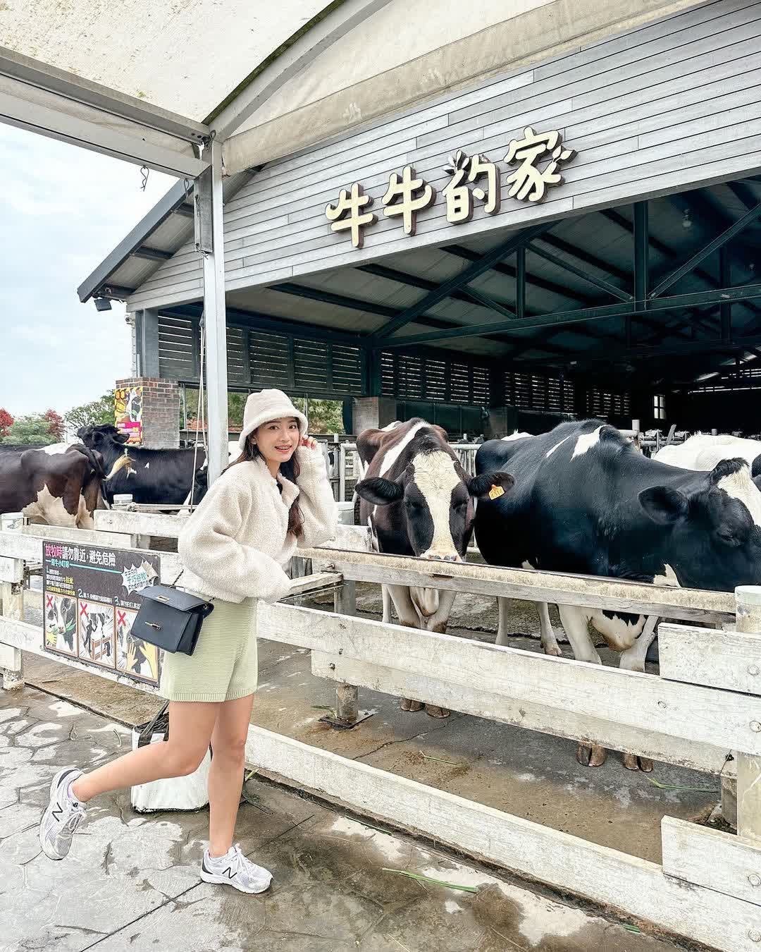 千巧谷牛樂園牧場