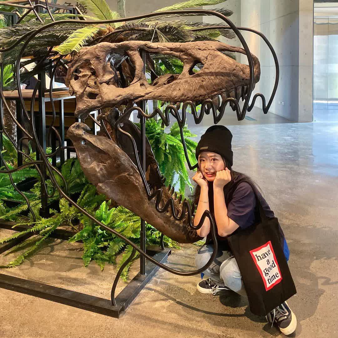 臺南左鎮化石園區(16:00截止售票、17:00閉館) | 去趣 chicTrip