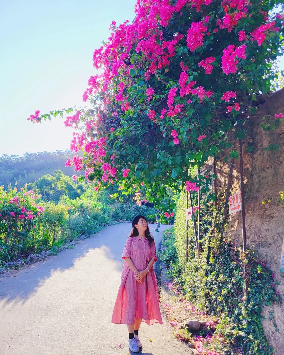 味衛佳柿餅教育農園 | 去趣 chicTrip