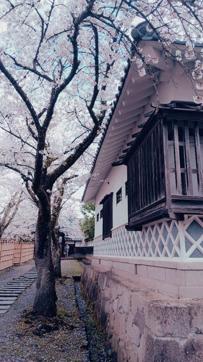 會津武家屋敷 | 去趣 chicTrip
