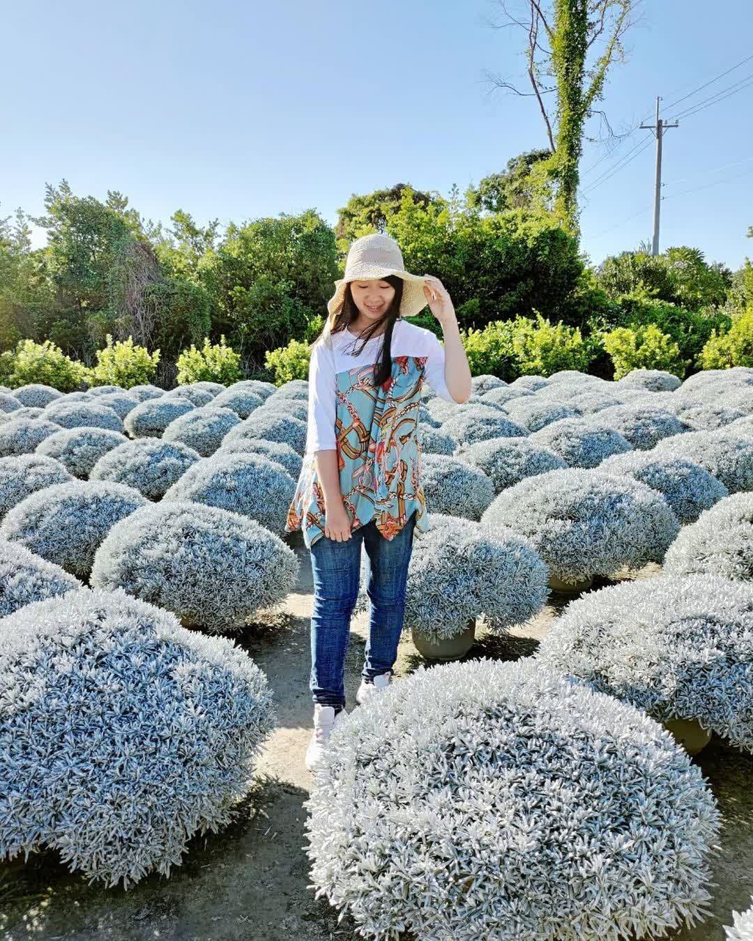 彰化田尾波波草 | 去趣 chicTrip