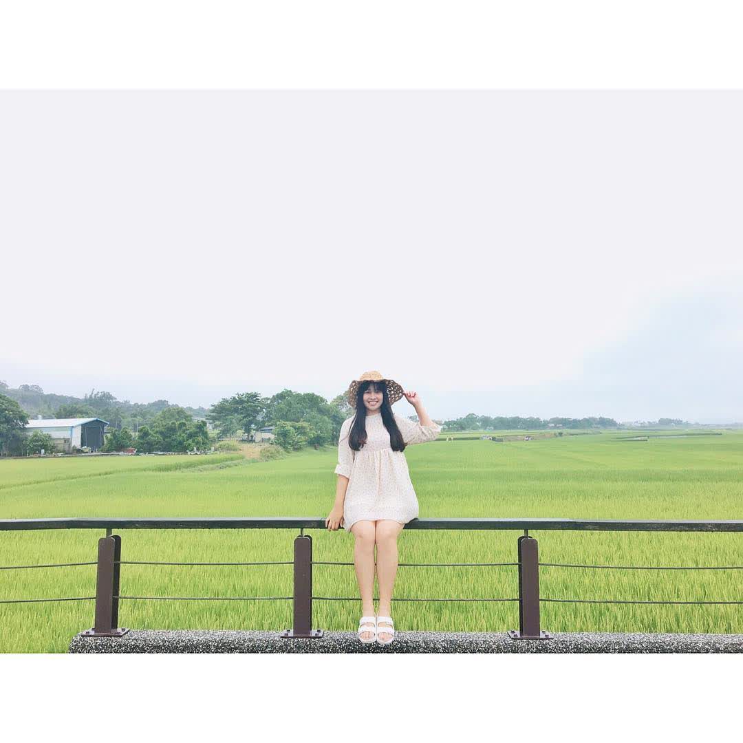 奉茶樹 金城武樹 | 去趣 chicTrip