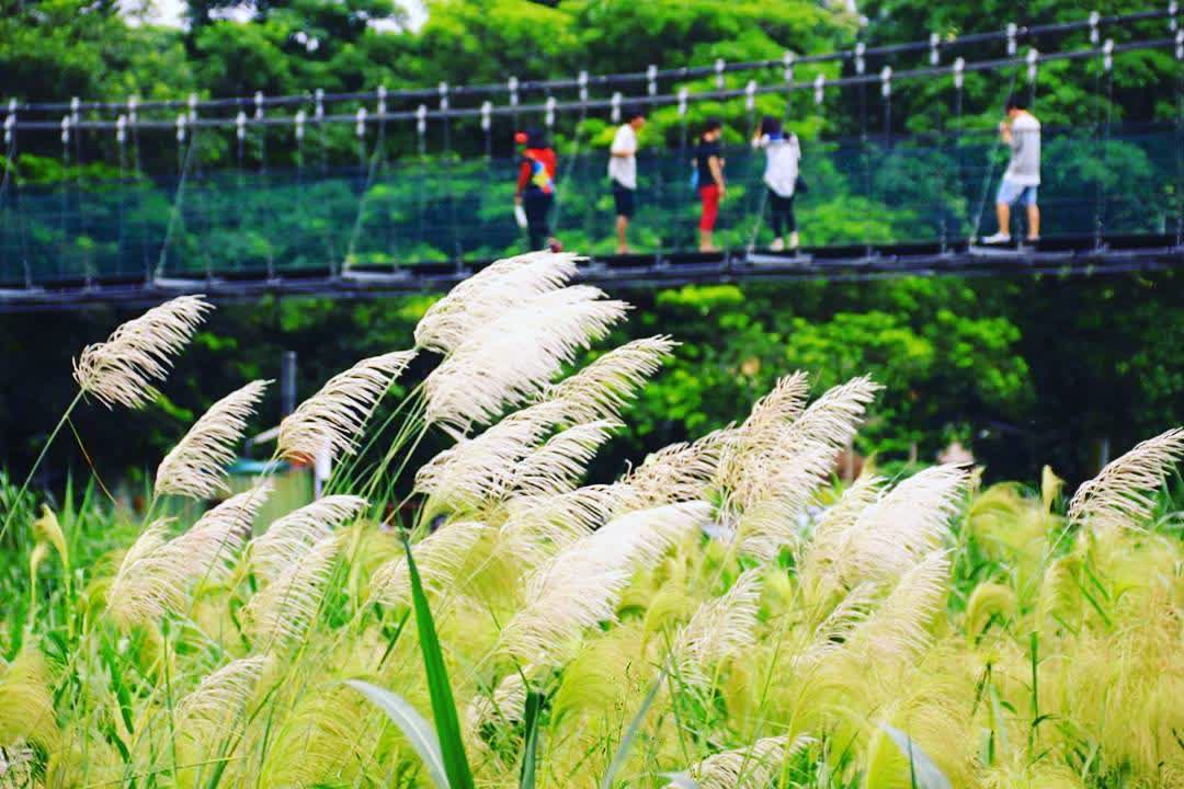 竹崎親水公園 | 去趣 chicTrip