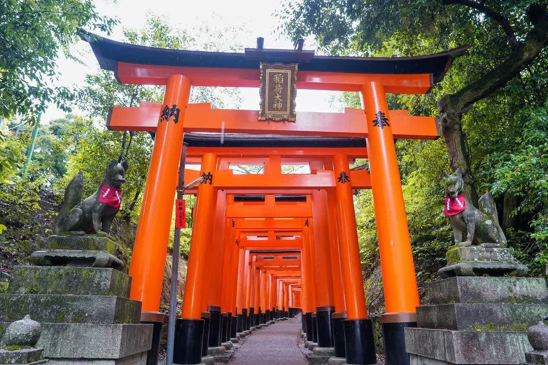 伏見稻荷大社 | 去趣 chicTrip