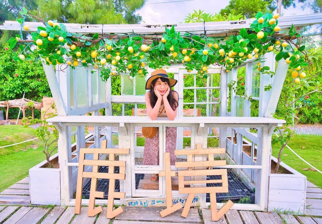 鹿境梅花鹿生態園區丨門票消費最高折抵140丨梅花鹿、水豚互動餵食丨室內親子DIY區丨親子遊戲區丨甜鹹輕食霜淇淋供應丨超可愛獨家紀念品丨奶茶、咖啡好喝 | 去趣 chicTrip