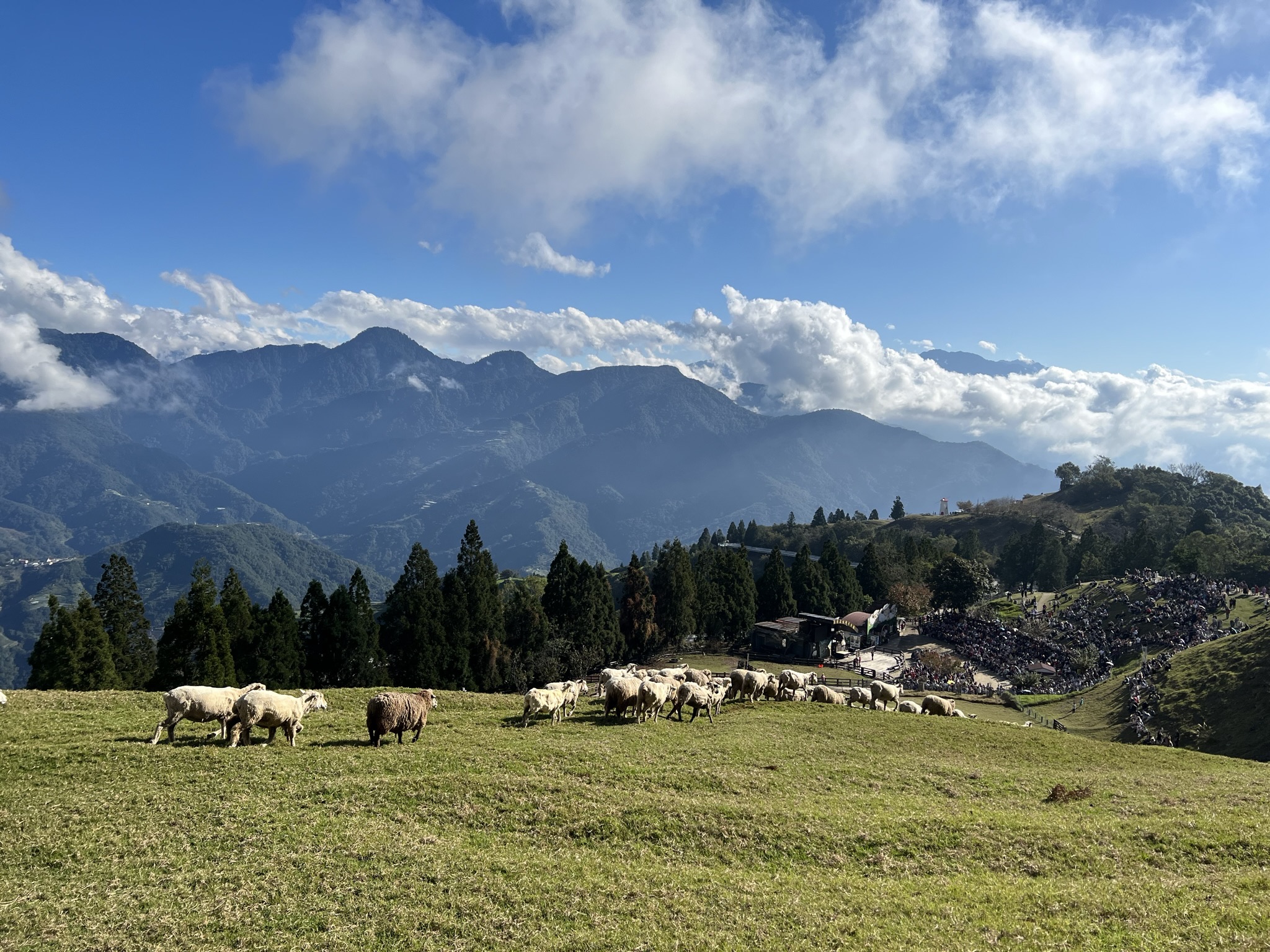 清境農場青青草原 | 去趣 chicTrip