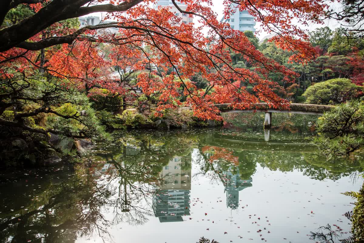 相樂園 | 去趣 chicTrip